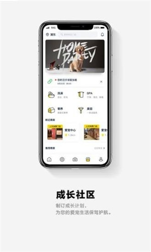 它福app