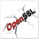 OpenSSL官方下载 v1.10 最新中文版