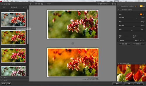 Color Efex Pro4特别版 第2张图片