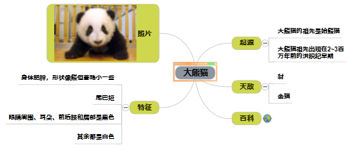 鹰翔思维导图软件免费版 第4张图片