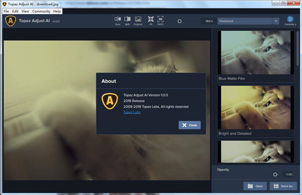 Topaz Adjust AI汉化版 第2张图片