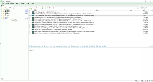 QuiteRSS中文版截图