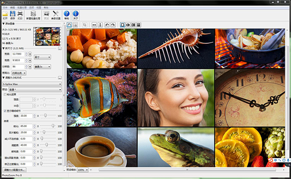 photozoom pro8破解版 第1张图片