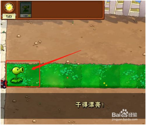 植物大战僵尸原版中文版怎么玩 第4张图片