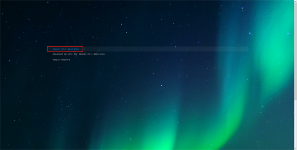 deepin20.2.3安装教程7