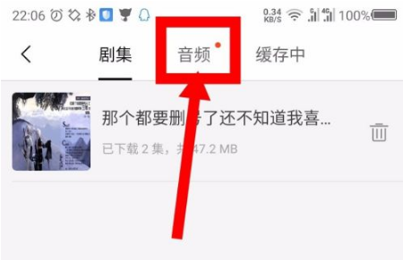 猫耳fm怎么下载音频到本地截图5