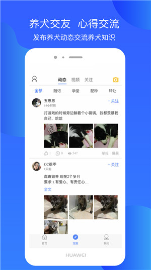 犬卫士app官方下载截图1