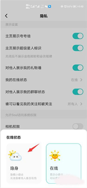 Soul APP软件怎么设置隐身截图3