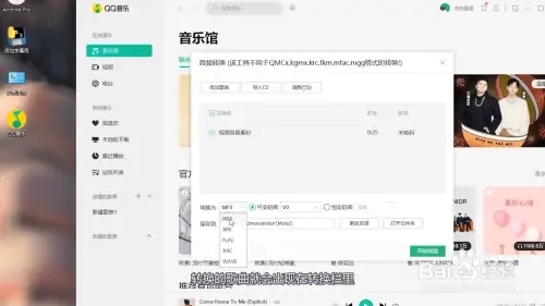 QQ音乐优化版常见问题截图3