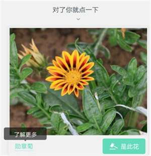 形色植物识别app使用方法3