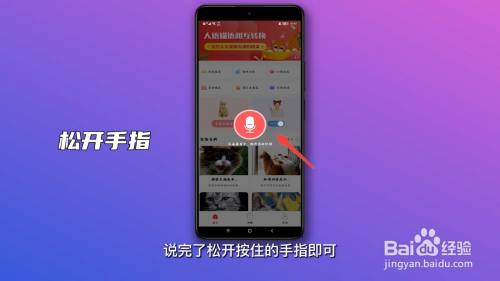 人猫狗翻译器怎么使用截图2