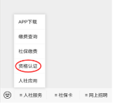 六安人社app养老金认证2