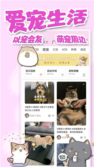 饭团萌app 第1张图片