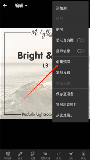 Lightroom手机版DNG格式预设保存教程截图8