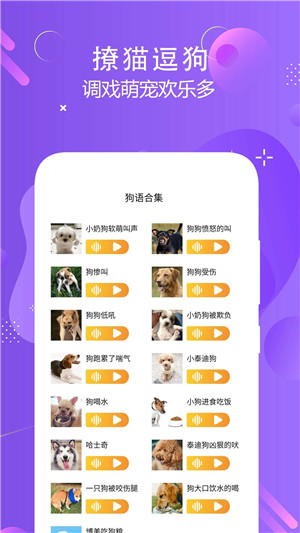 猫狗语言翻译交流器app 第3张图片