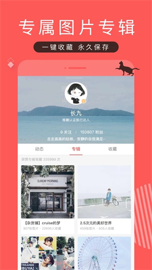 堆糖app官方版软件特色截图