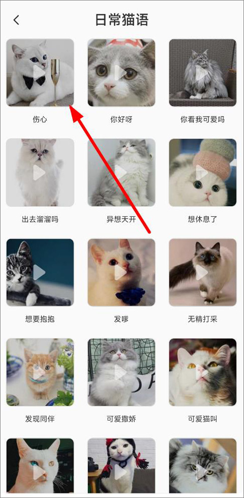 猫语翻译机免费版怎么翻译2