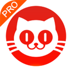 猫眼实时票房榜专业版下载 v8.0.0 安卓版