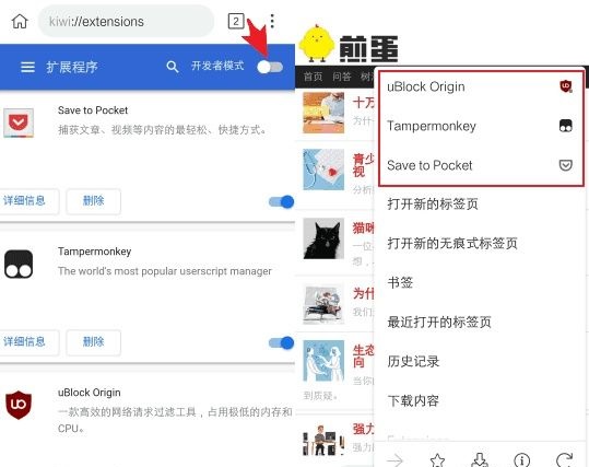 Kiwi浏览器安卓官方下载中文版使用方法3