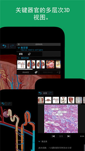 2023人体解剖学图谱app安卓版 第2张图片