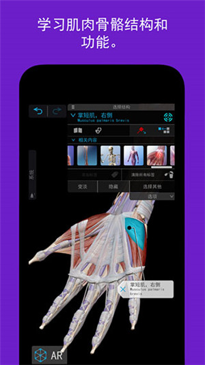 2023人体解剖学图谱app安卓版 第5张图片