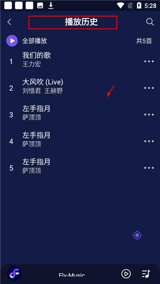 Fly Music官方免费版使用方法4