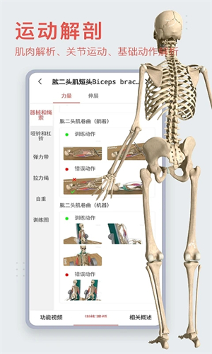 3DBody解剖软件6.0安卓版 第2张图片