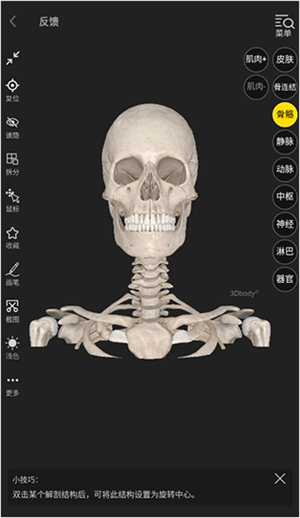 3DBody解剖软件6.0安卓版怎么使用截图3