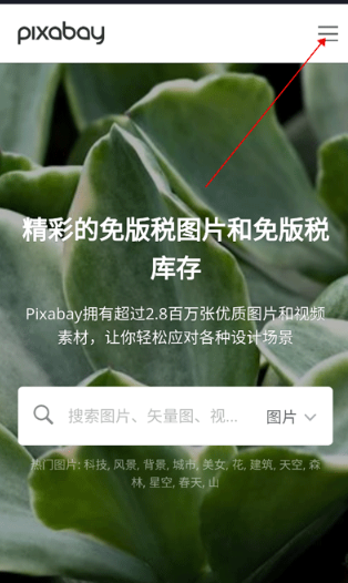 Pixabay中文设置方法1