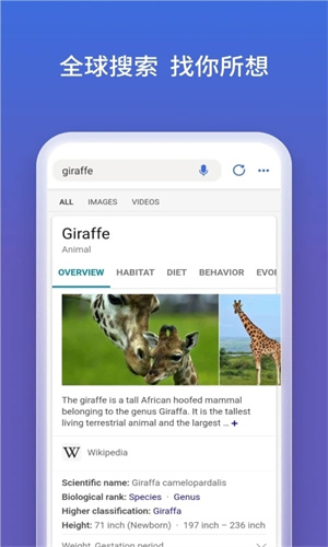 微软必应手机版下载截图