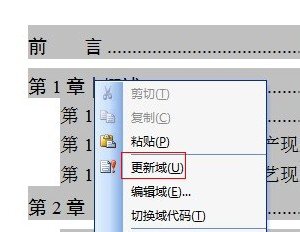 Office2003免安装绿色版常见问题截图2