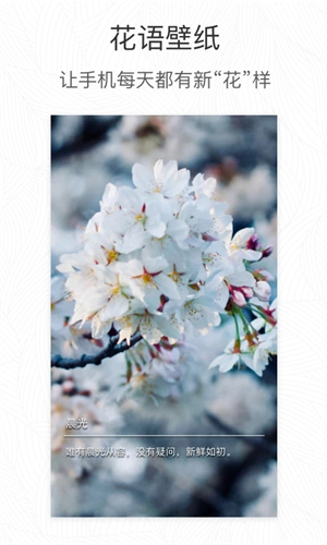 形色拍照识别花和植物app 第4张图片