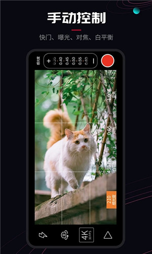 ProMovie安卓app下载 第1张图片