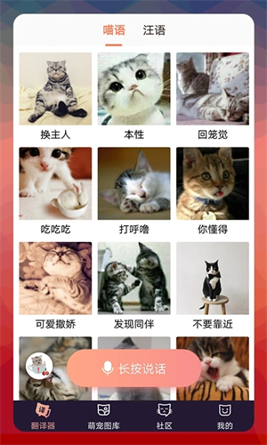 猫语翻译器正版软件特色截图