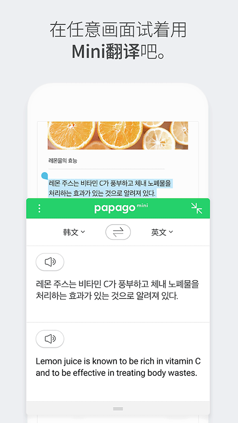 Naver Papago app官方最新版 第4张图片