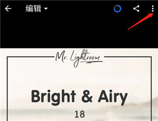 Lightroom官方正版app格式预设保存教程截图5