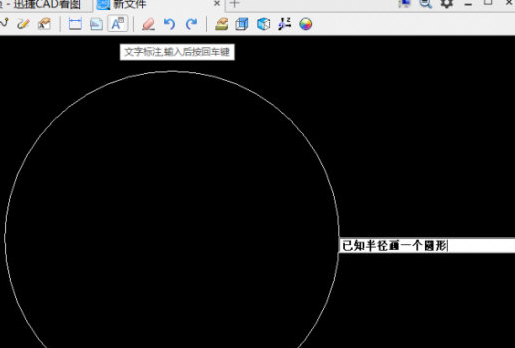 cad看图王如何输入文字？1