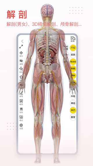 3Dbody解剖app解锁VIP 第4张图片