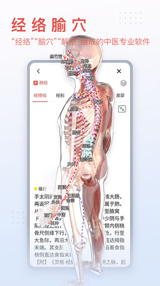 3Dbody解剖app解锁VIP 第5张图片