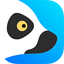 狐猴浏览器app下载老版本(含Chat AI) v2.4.1.001 安卓版