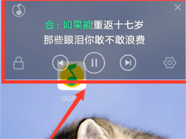 QQ音乐HD官方版使用教程4