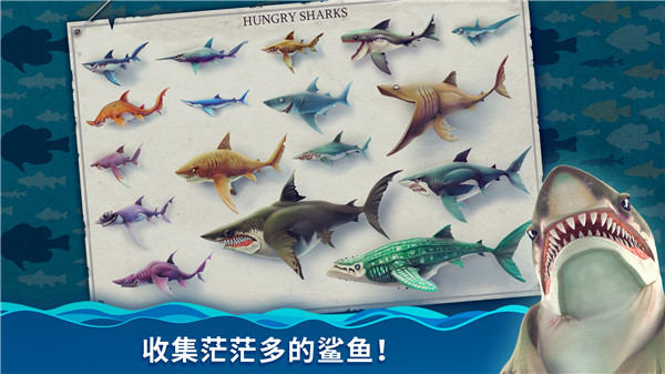 HungrySharkWorld国际服无限珍珠游戏特点