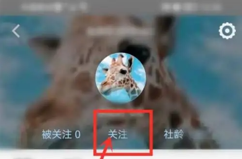 怎么关注别人截图2