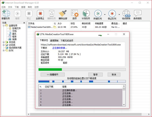 Internet Download Manager绿色版常见问题