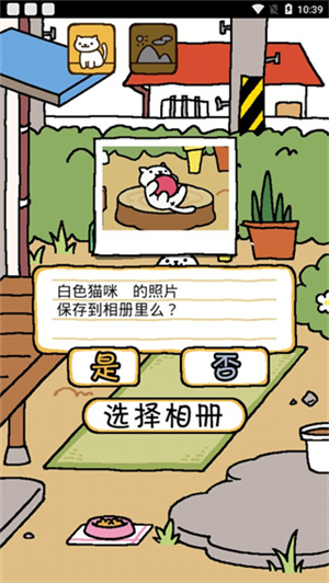 猫咪后院中文版 第3张图片