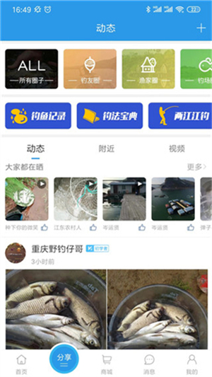 重庆钓鱼网APP 第3张图片