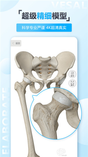 维萨里3D解剖全集终身免费版 第2张图片