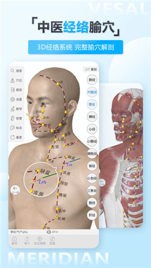 维萨里3D解剖全集终身免费版软件介绍