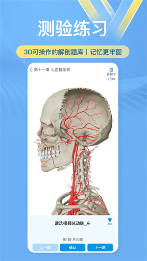 维萨里3D解剖VIP破解版 第1张图片