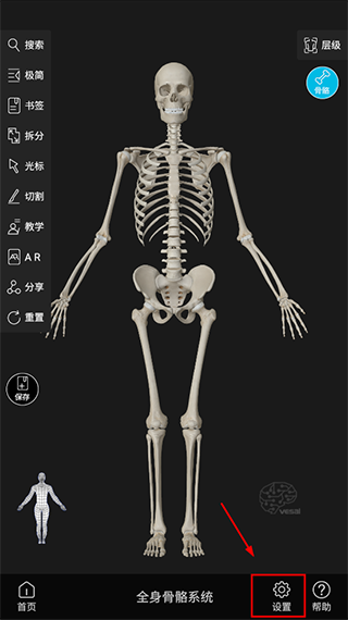 维萨里3D解剖VIP破解版使用方法3